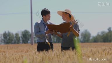 科研人员和农民在麦田里交流技术